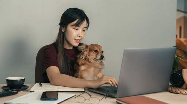 Editorial illustration for Five Smart Pet Gadget Categories, and Which One Solves Your Actual Problem